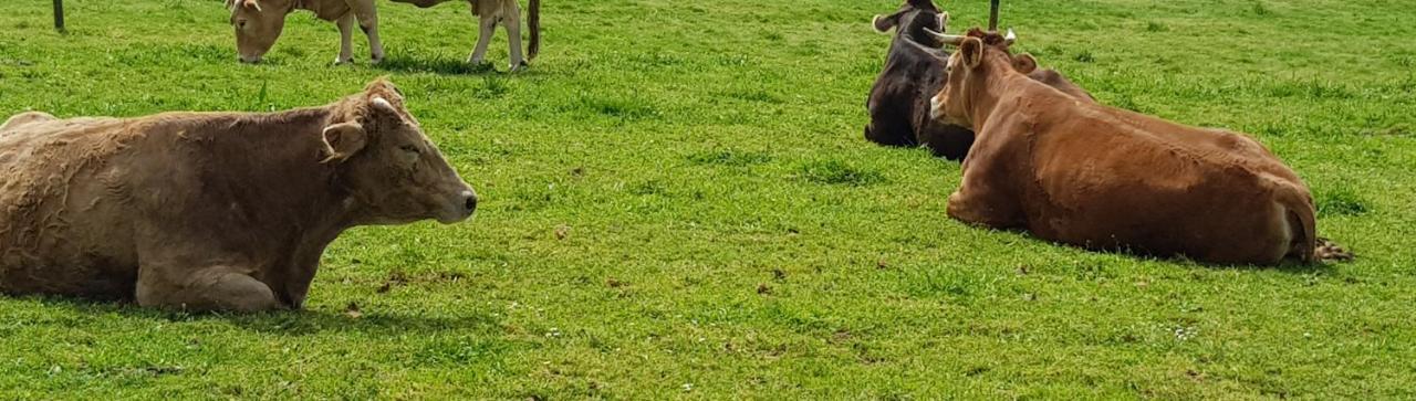 Pension Lo O Pedrouzo Dış mekan fotoğraf